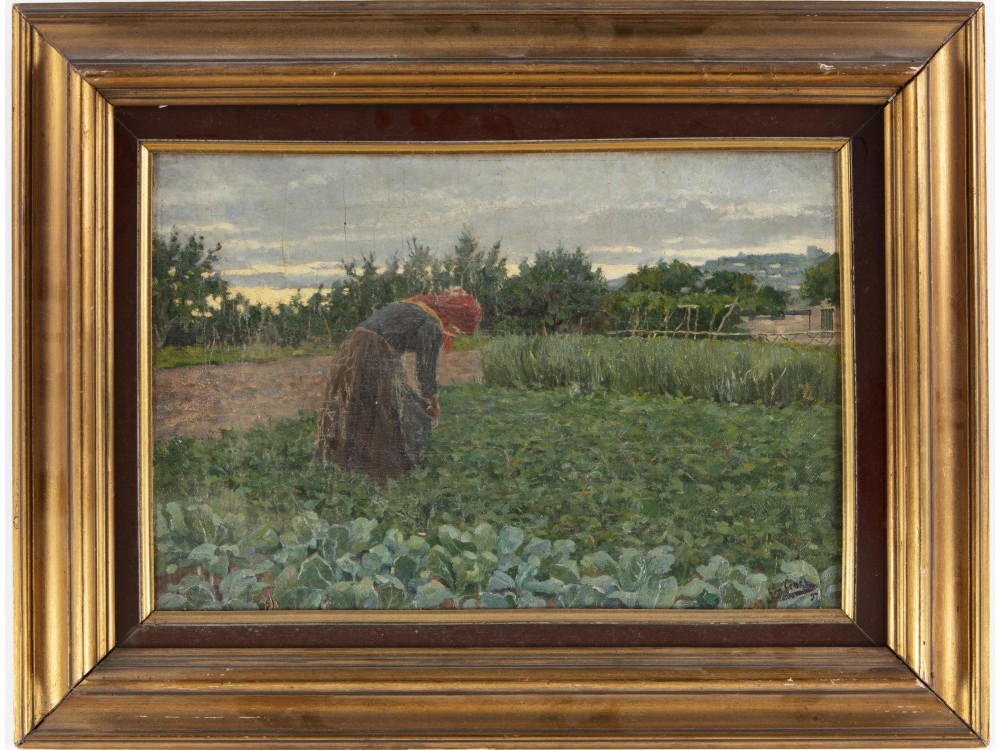 ernesto croci: Raccolta di ortaggi
